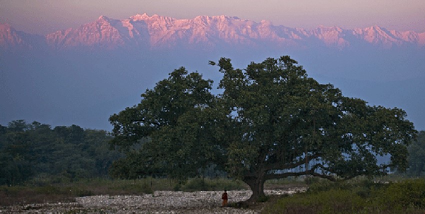 himalaya